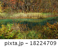 五色沼　赤沼 18224709