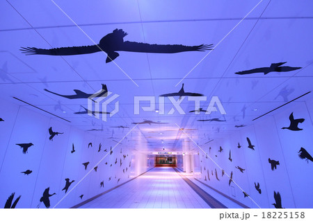 ルーセントアベニュー 18225158