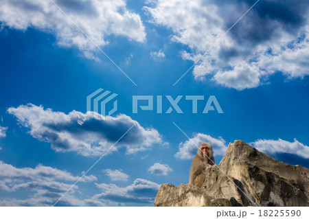 猿と空 18225590