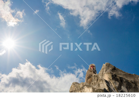 猿と空 猿と空 18225610