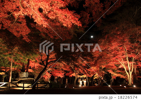 埼玉長瀞　月の石もみじ公園 18226574