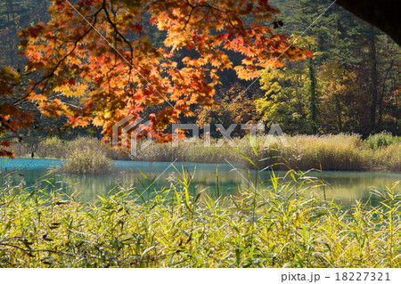 五色沼 るり沼 五色沼 るり沼 18227321