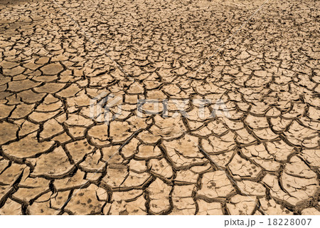 Drought land Drought land 18228007