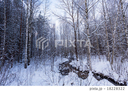 Frozen stream in winter forest Frozen stream in winter forest 18228322