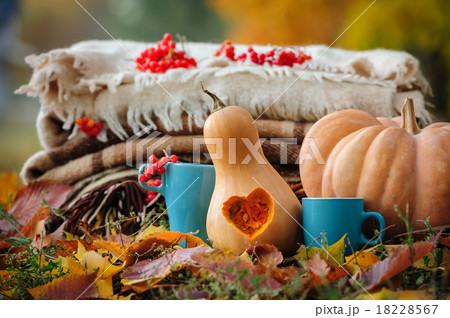 Autumn thanksgiving still life 18228567