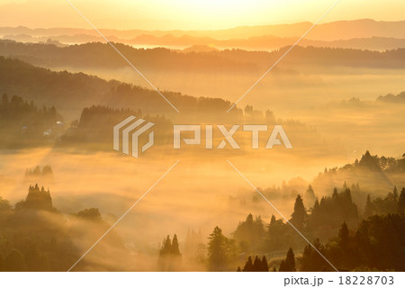 星峠 星峠 18228703