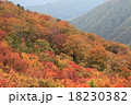 白山連峰の紅葉 18230382
