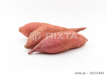 ガーネット・ヤム ガーネット・ヤム 18232883