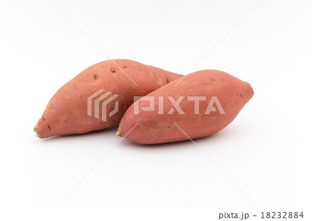 ガーネット・ヤム 18232884