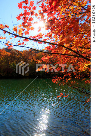 紅葉と鎌池1 18233756