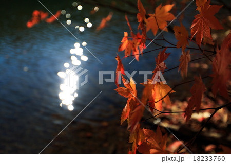 紅葉と鎌池5 18233760