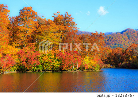 紅葉と鎌池12 18233767