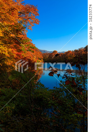 紅葉と鎌池19 18233774