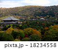 奈良　大仏殿の紅葉 18234558