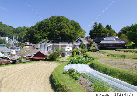 ノスタルジックな西宮市北部にある船坂峠の集落 初秋 収穫の季節 兵庫県西宮市山口町船坂 の写真素材