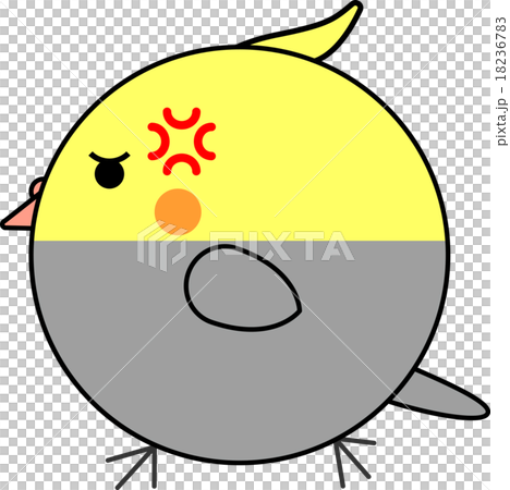 Maruko (cockatiel) 18236783