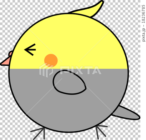 Maruko (cockatiel) 18236785