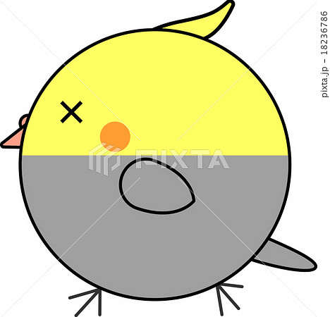 丸鳥 オカメインコ のイラスト素材