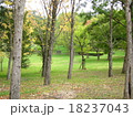 散歩道 18237043