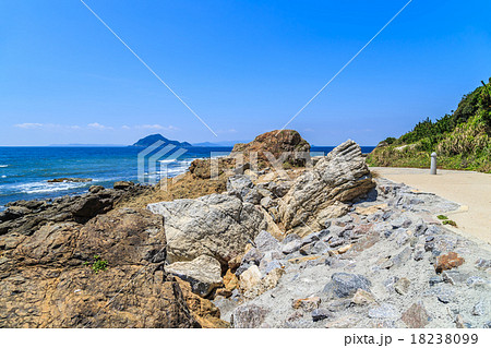 伊良湖岬自然散策路 18238099