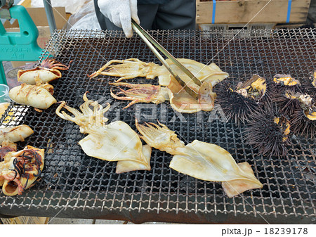 焼きイカ 焼きイカ 18239178