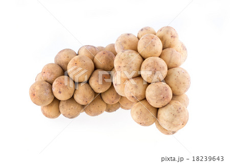 longkong tropical fruit on white background longkong tropical fruit on white background 18239643