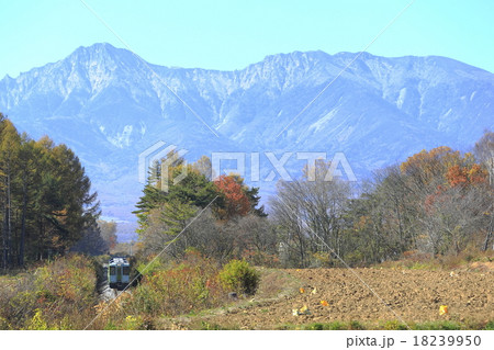 紅葉の小海線 紅葉の小海線 18239950