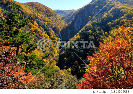 長野県　秋の志賀高原　澗満滝と紅葉 18239983