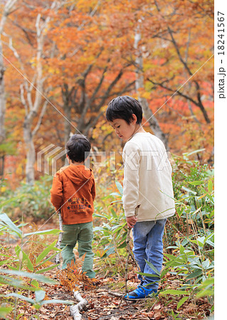 紅葉の山道をハイキングする子供の写真素材 [18241567] - PIXTA