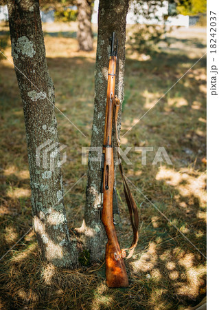Old soviet rifle of World War II leaning against 18242037
