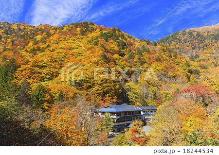 紅葉の白骨温泉の写真素材