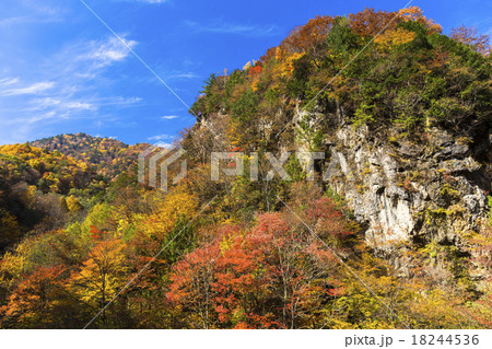 白骨温泉の紅葉 18244536