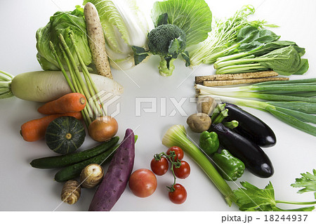 野菜 野菜 18244937