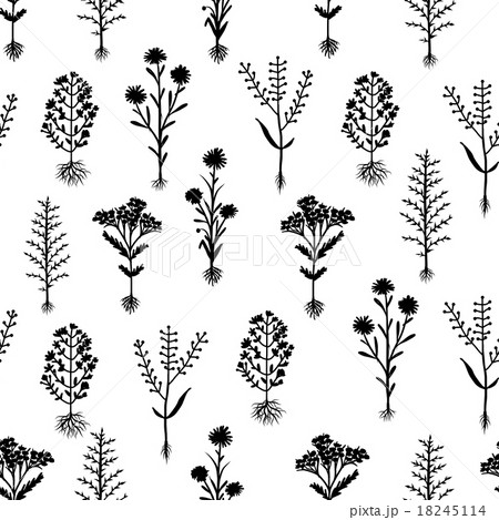 Herbarium flowers with roots, seamless pattern Herbarium flowers with roots, seamless pattern 18245114