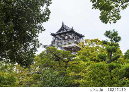広島城 18245150