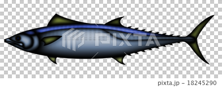 馬鮫魚 馬鮫魚 18245290