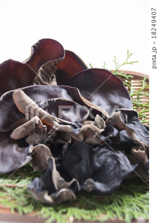 生きくらげと乾燥きくらげ 18249407