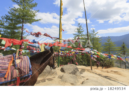 ブータン、タクツァン僧院への道のりを歩く馬 ブータン、タクツァン僧院への道のりを歩く馬 18249534