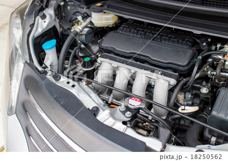 自家用車のエンジンルーム 自家用車のエンジンルーム 18250562