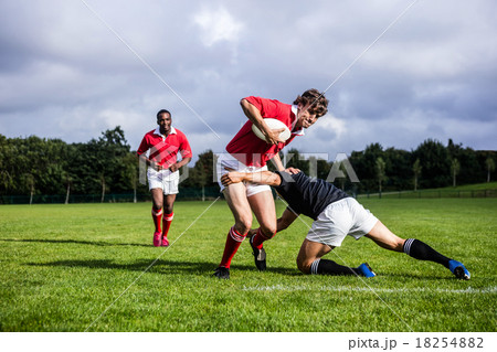 Rugby players tackling during game Rugby players tackling during game 18254882