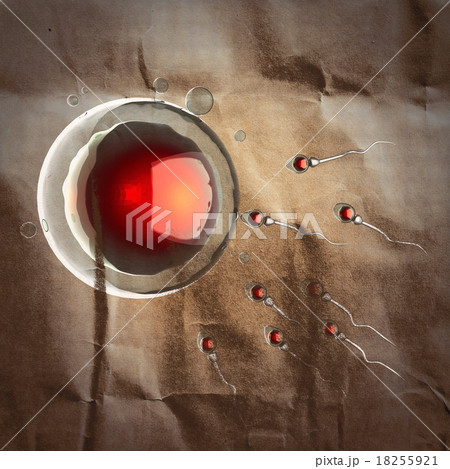 sperm and egg cell. microscopic image painted 18255921