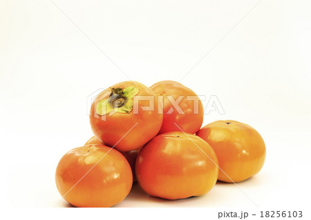 果物　柿　太秋　こうふくという名の柿　 18256103