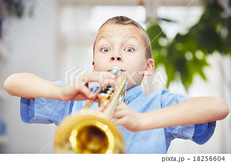 Little trumpeter 18256604