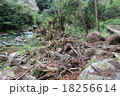 鹿児島土砂 18256614