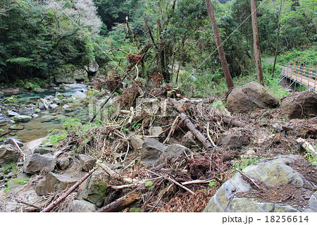鹿児島土砂 18256614