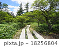 木道ハイキング 18256804