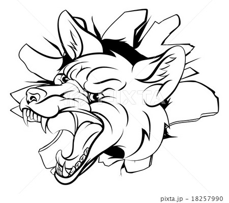 Fox breakout 18257990