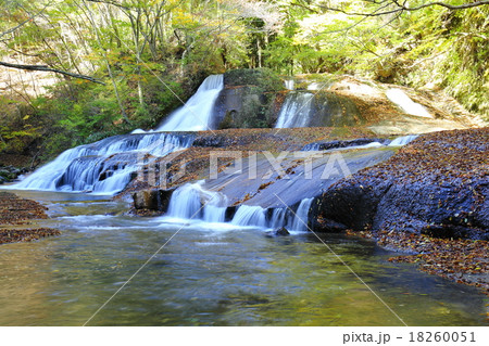 熊のすべり台～2015初秋 18260051