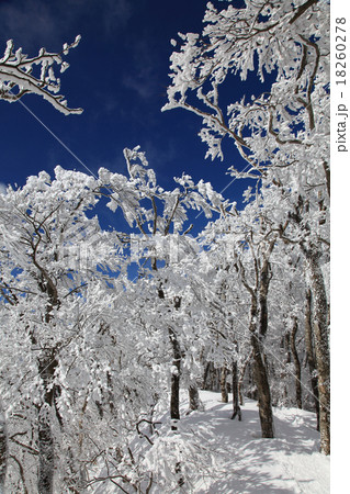 明神岳への尾根道 明神岳への尾根道 18260278
