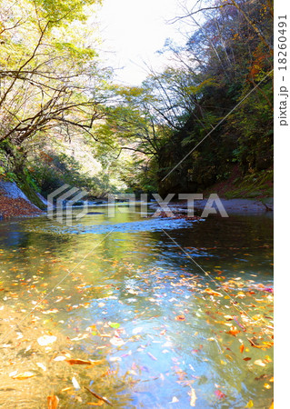 清流　阿武隈川～2015初秋 18260491